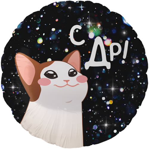 Шар 46 см Круг С ДР котик